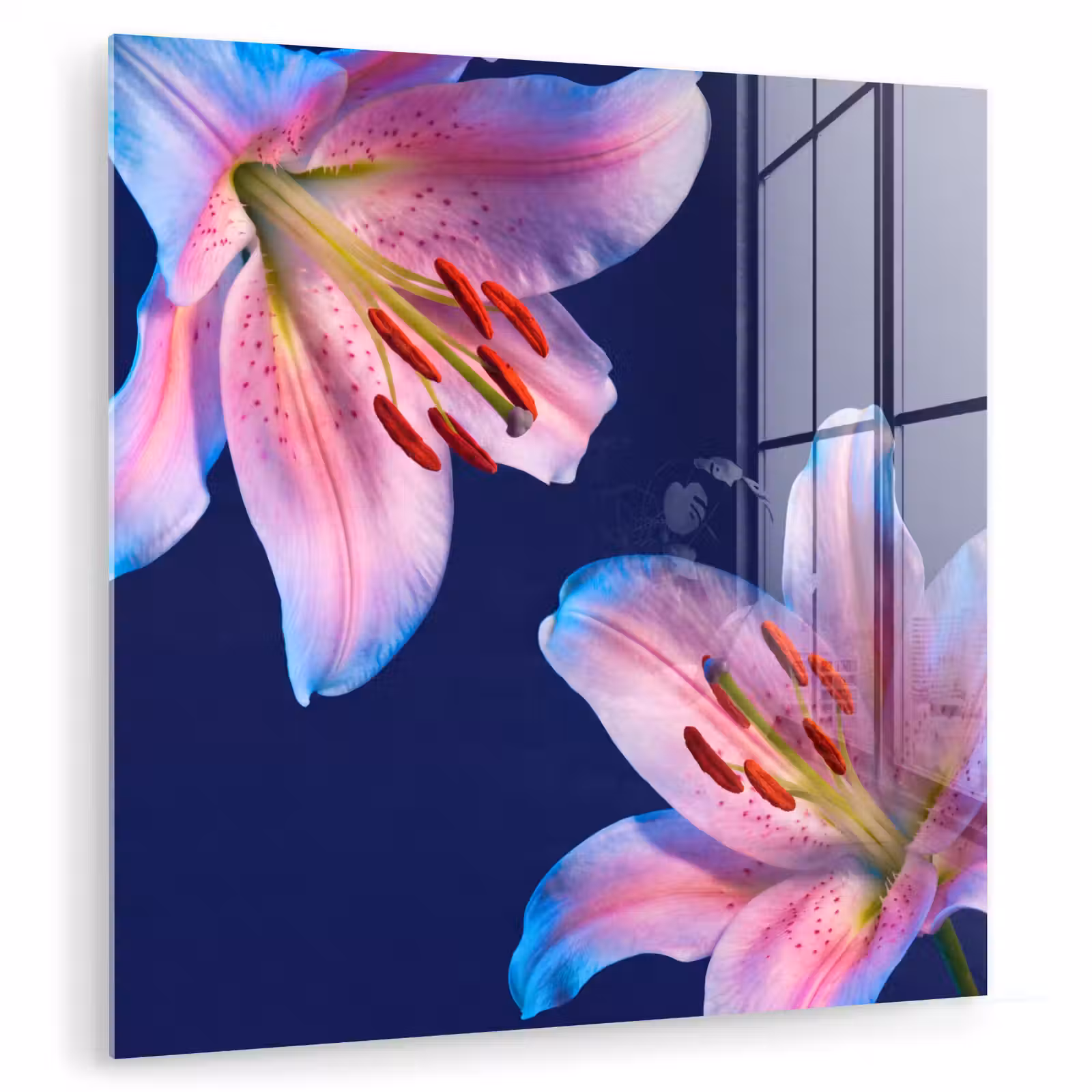 Glas schilderij - Bloemen - Kleurrijk - Botanisch — 1
