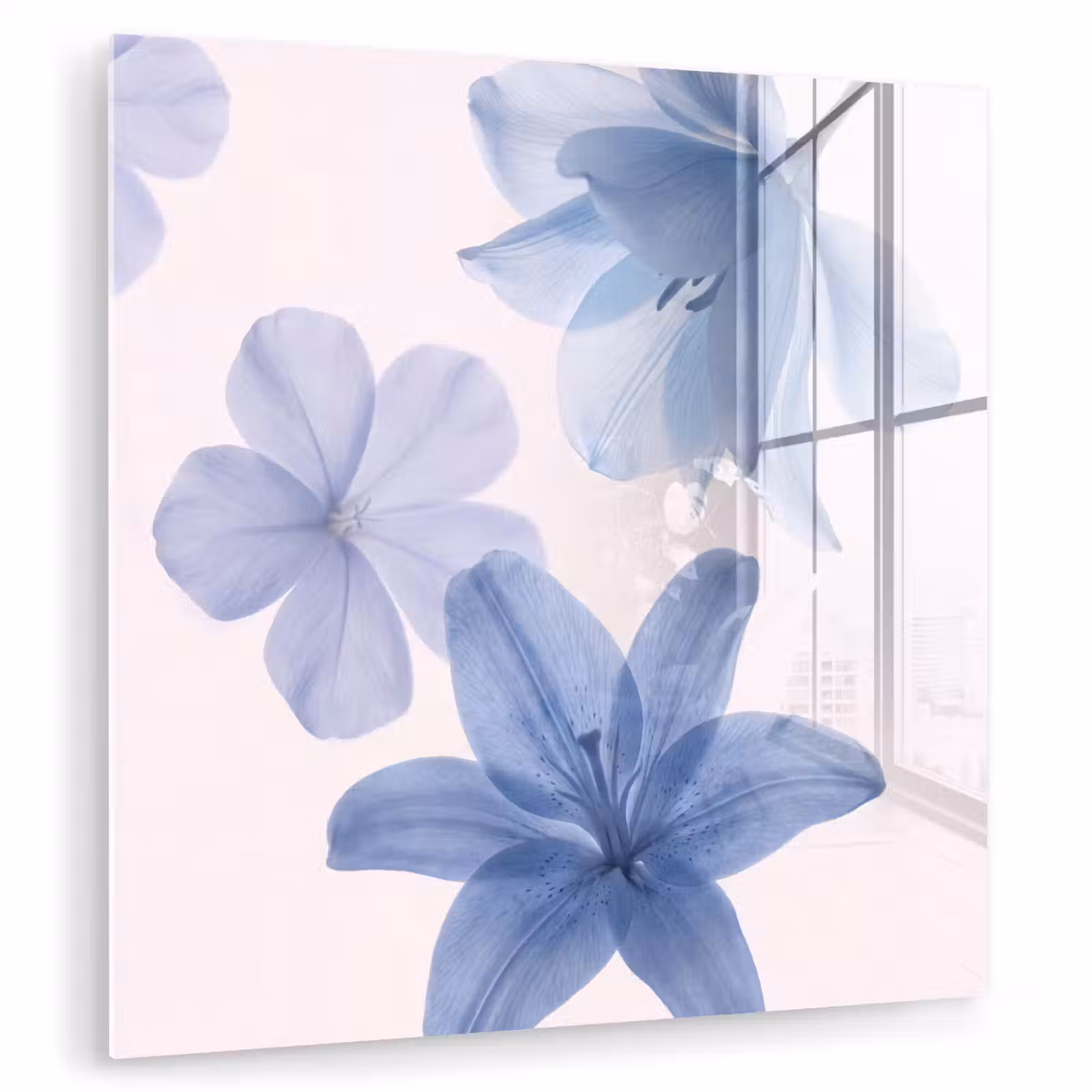 Glas schilderij - Bloemen - Transparant - Modern — 1