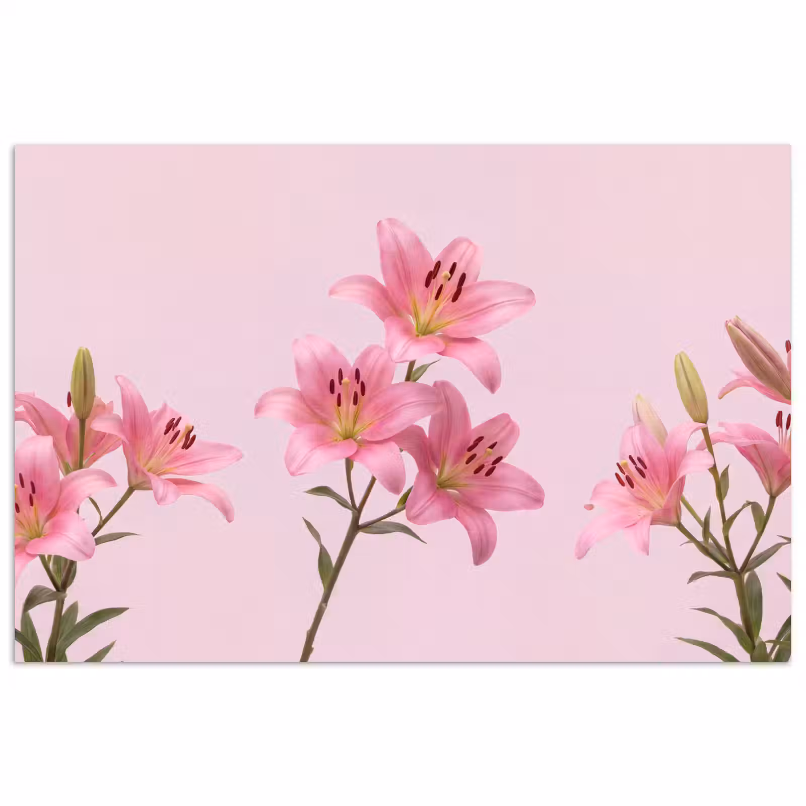 Poster - Bloemen - Zacht - Roze — 1