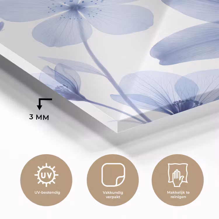 Glas schilderij - Blauwe bloemen - Natuur — 3