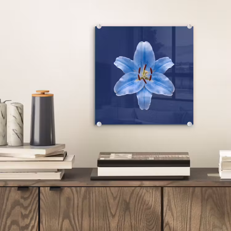 Glas schilderij - Blauwe lelie - Bloemen — 2