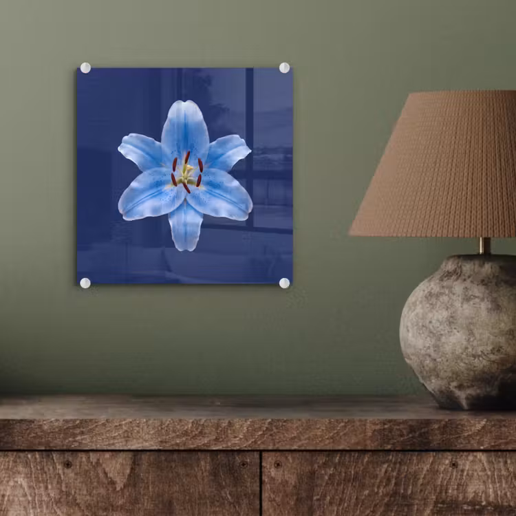Glas schilderij - Blauwe lelie - Bloemen — 4