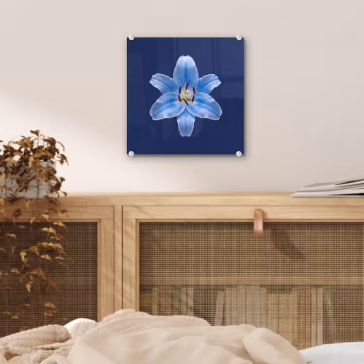 Glas schilderij - Blauwe lelie - Bloemen — 5