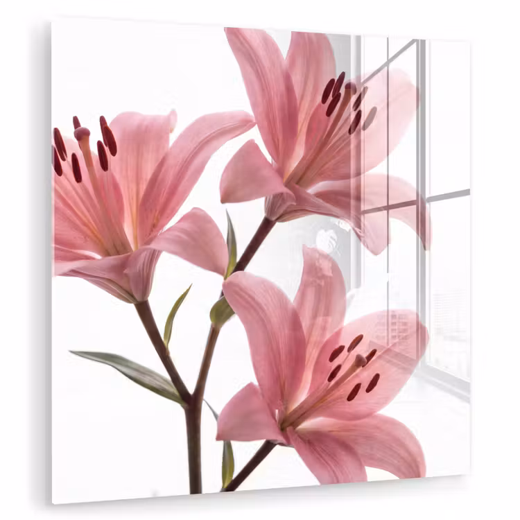 Glas schilderij - Bloemen - Zacht - Modern — 1