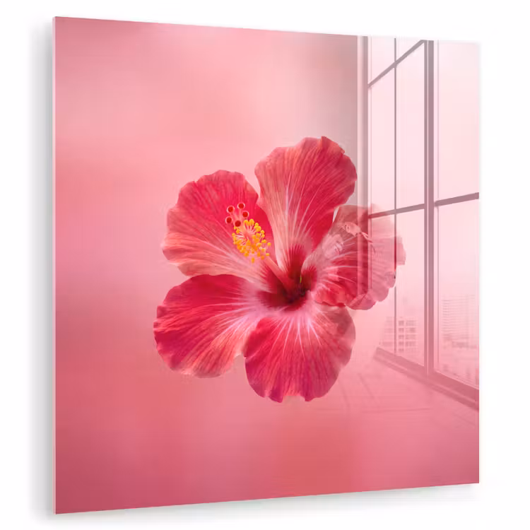 Glas schilderij - Rode bloem - Natuur — 1