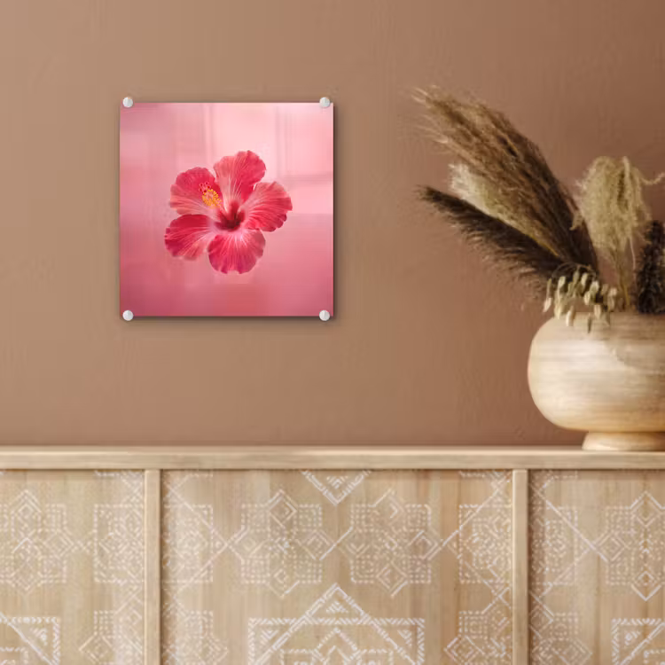 Glas schilderij - Rode bloem - Natuur — 6