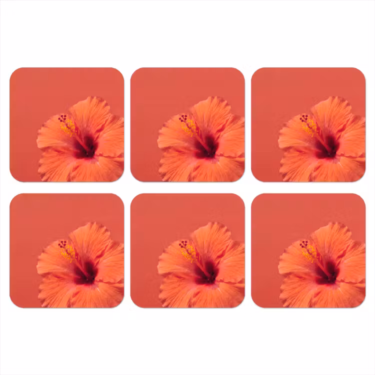 Onderzetter - Bloemen - Oranje - Natuur — 1