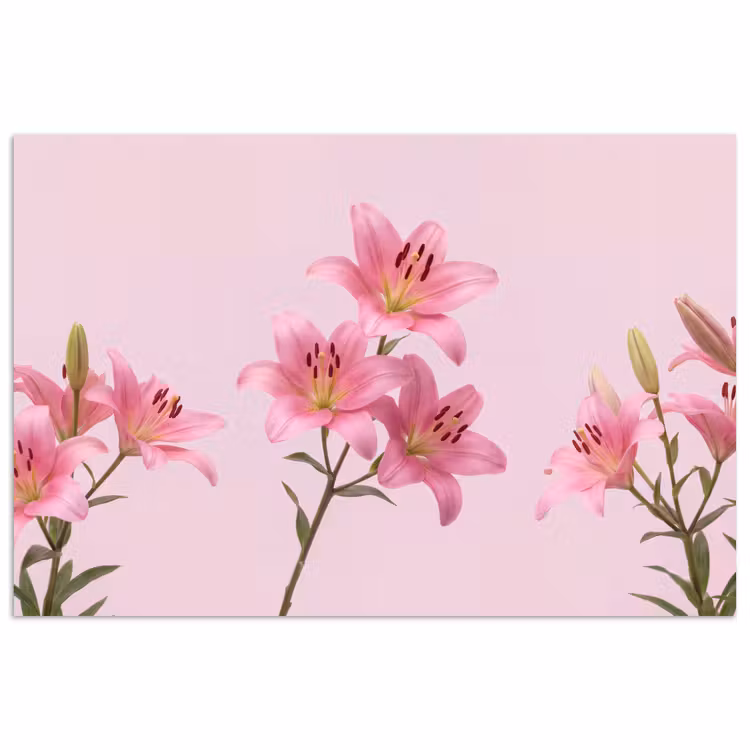 Poster - Bloemen - Zacht - Roze — 1