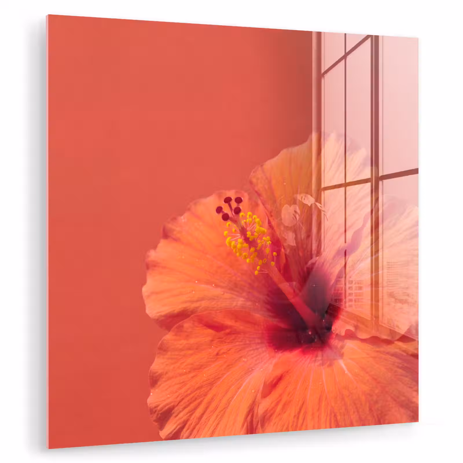 Glas schilderij - Bloemen - Oranje - Natuur — 1