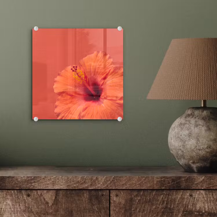 Glas schilderij - Bloemen - Oranje - Natuur — 4