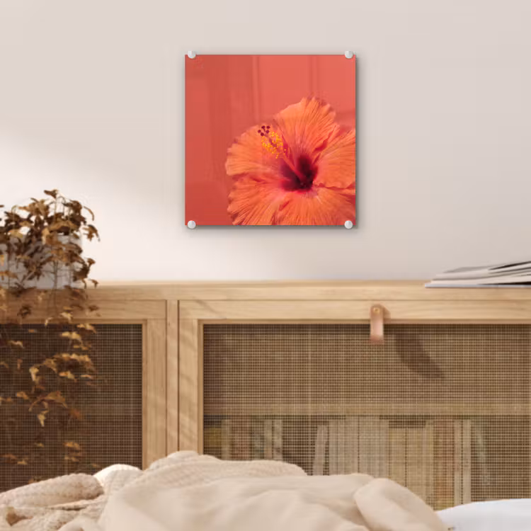 Glas schilderij - Bloemen - Oranje - Natuur — 5