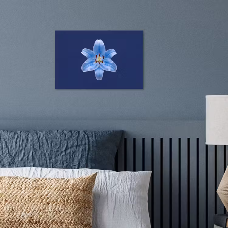 Poster - Blauwe lelie - Bloemen — 3