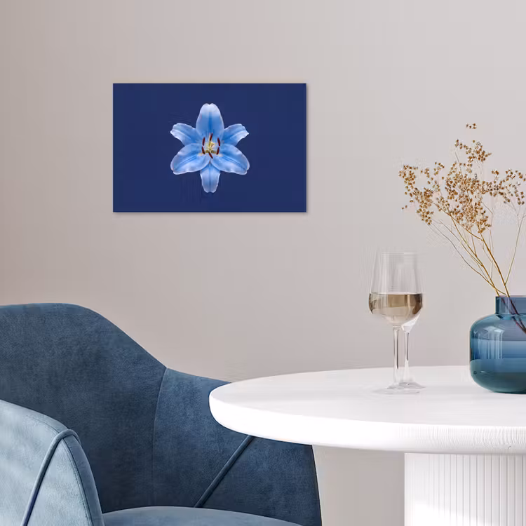 Poster - Blauwe lelie - Bloemen — 4