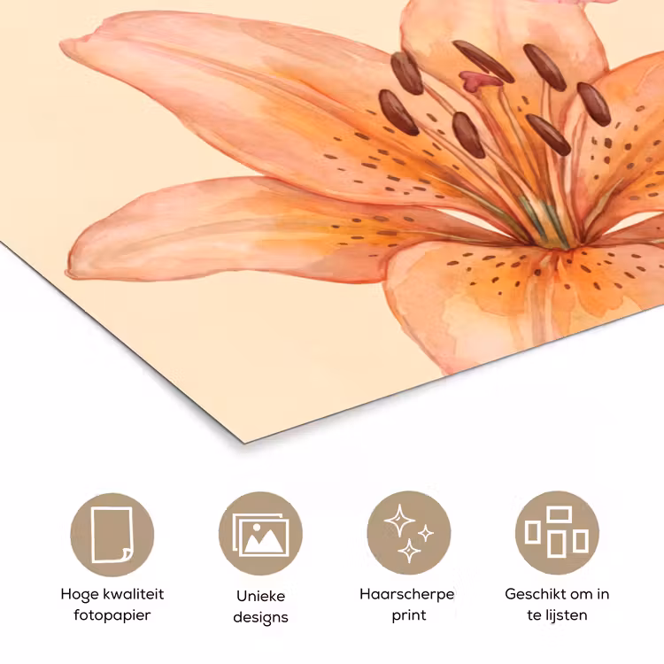 Poster - Bloemen - Aquarel - Natuur — 5
