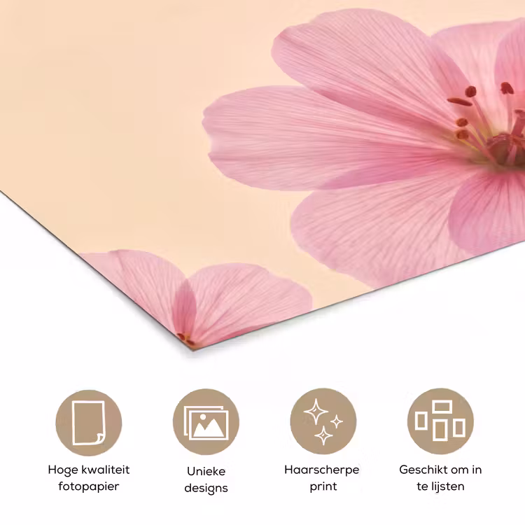 Poster - Bloemen - Flora - Pastel — 5