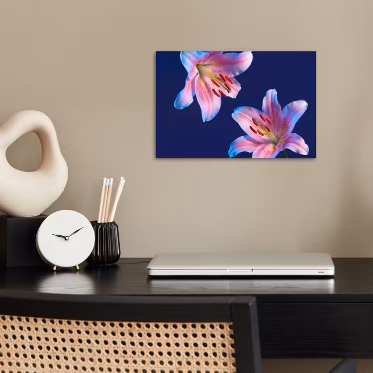 Poster - Bloemen - Kleurrijk - Botanisch — 2