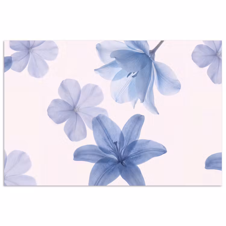 Poster - Bloemen - Transparant - Modern — 1