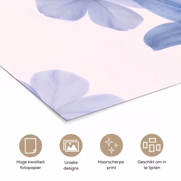 Poster - Bloemen - Transparant - Modern — 5