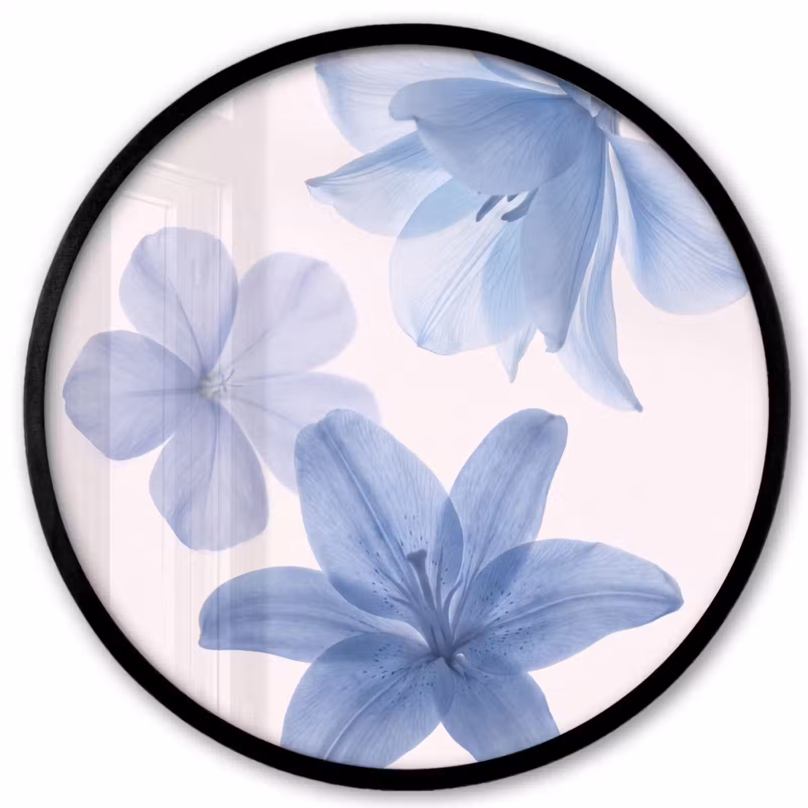 Ronde fotolijst - Bloemen - Transparant - Modern — 1