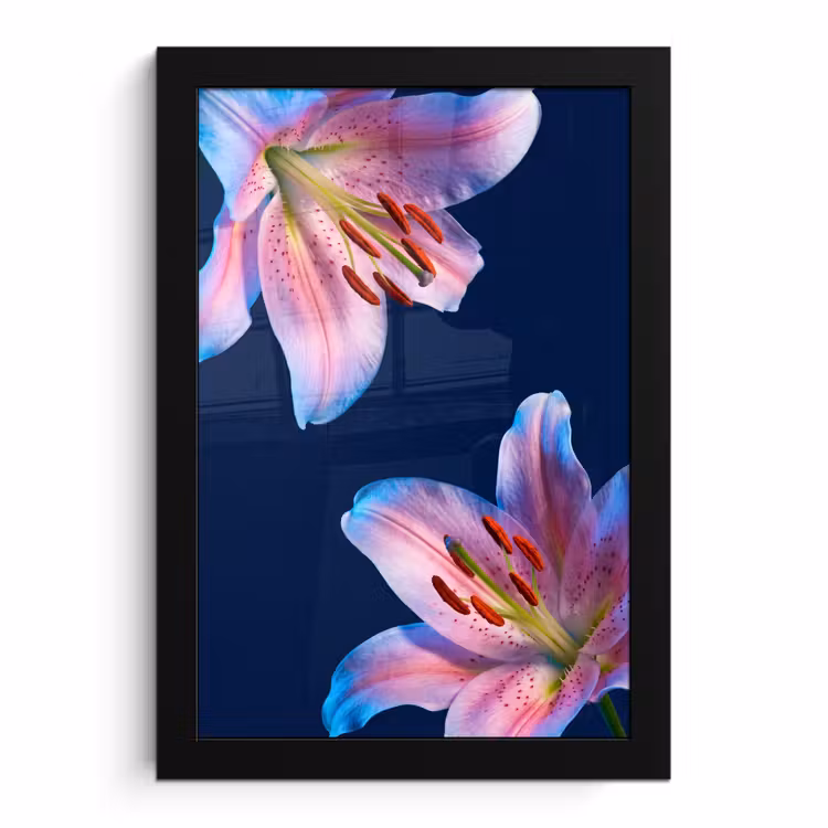 Poster met lijst - Bloemen - Kleurrijk - Botanisch — 1