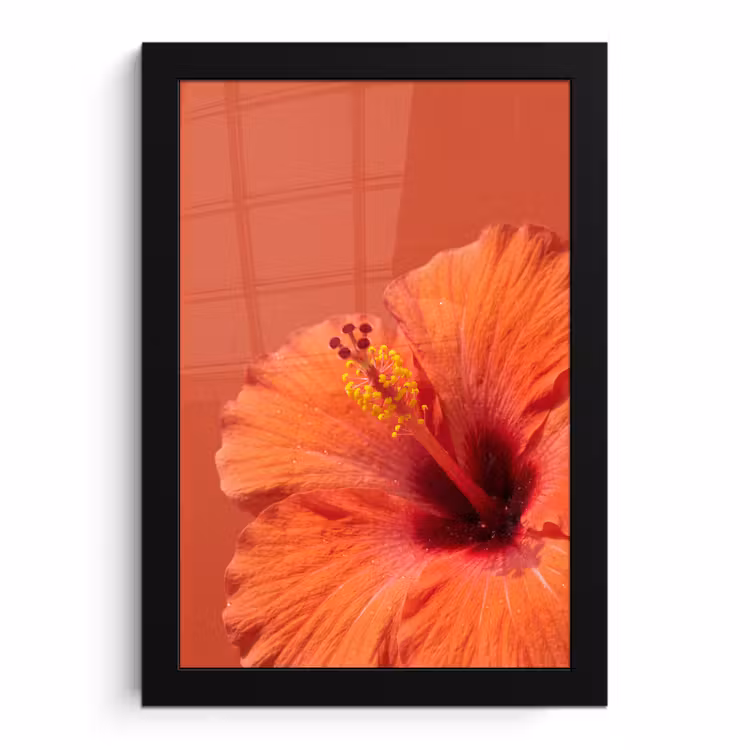 Poster met lijst - Bloemen - Oranje - Natuur — 1