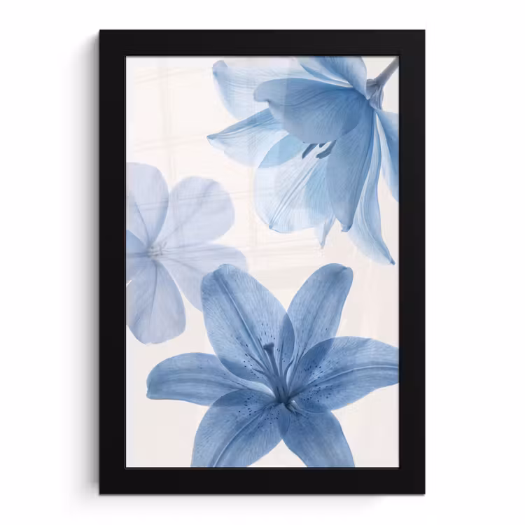 Poster met lijst - Bloemen - Transparant - Modern — 1