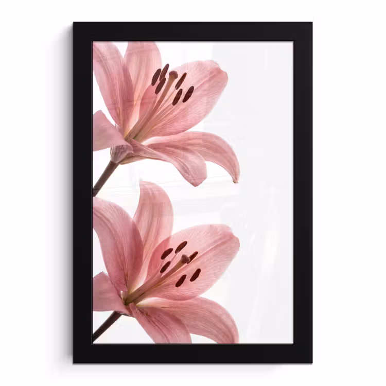 Poster met lijst - Bloemen - Zacht - Modern — 1