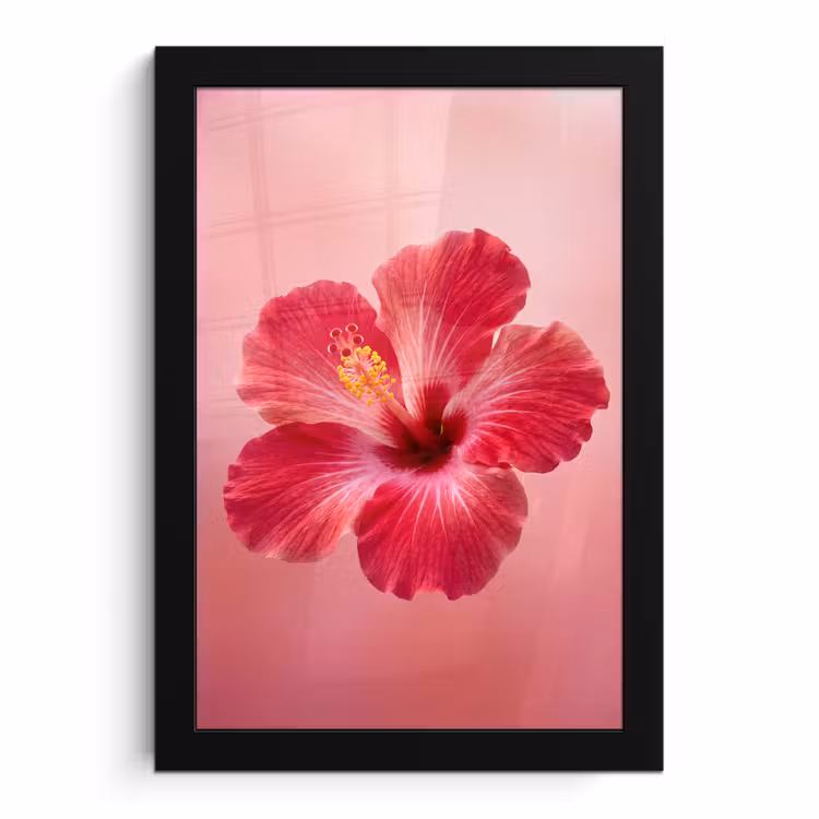 Poster met lijst - Rode bloem - Natuur — 1