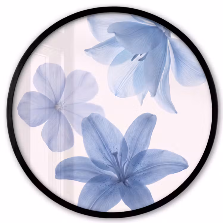 Ronde fotolijst - Bloemen - Transparant - Modern — 1