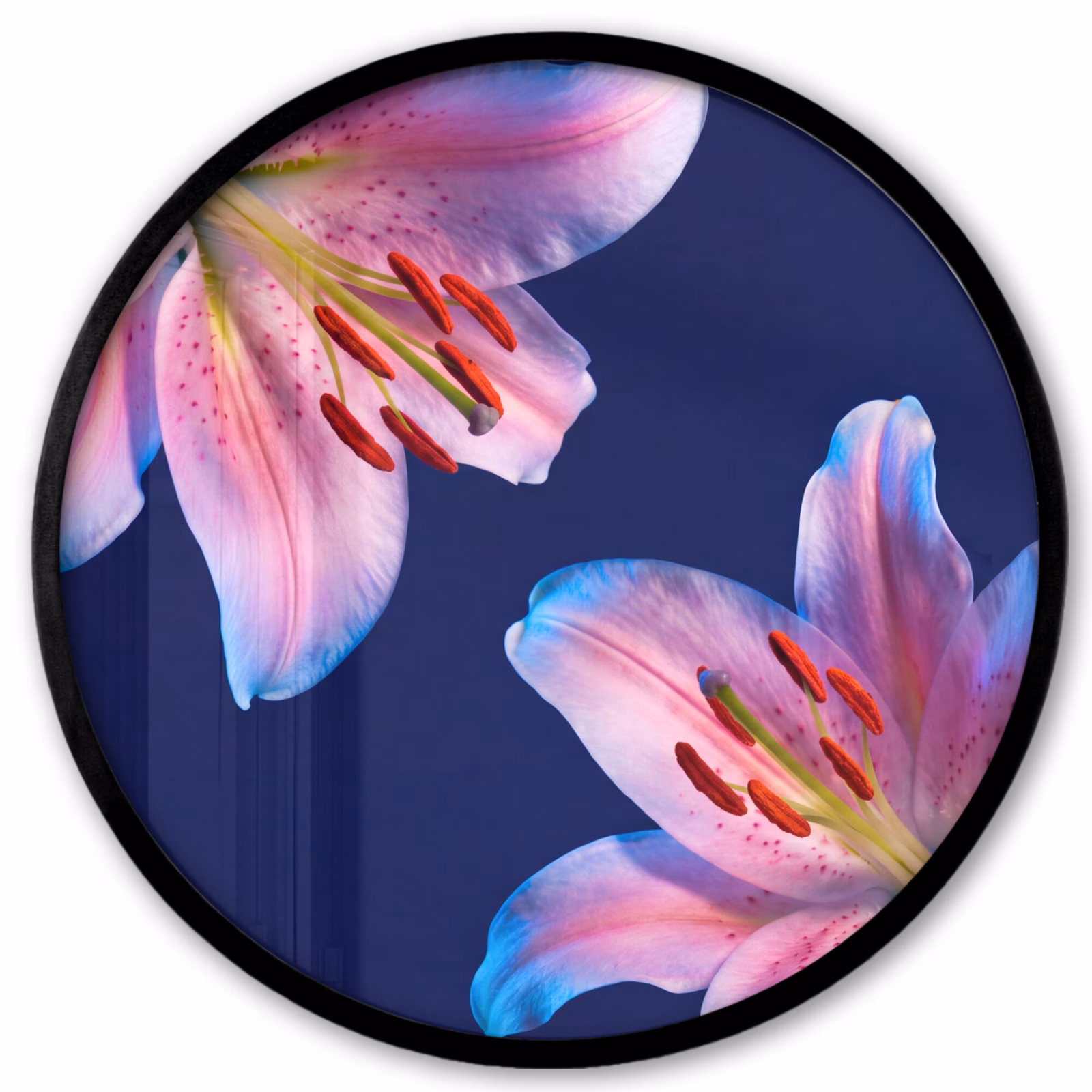 Ronde fotolijst - Bloemen - Kleurrijk - Botanisch — 1
