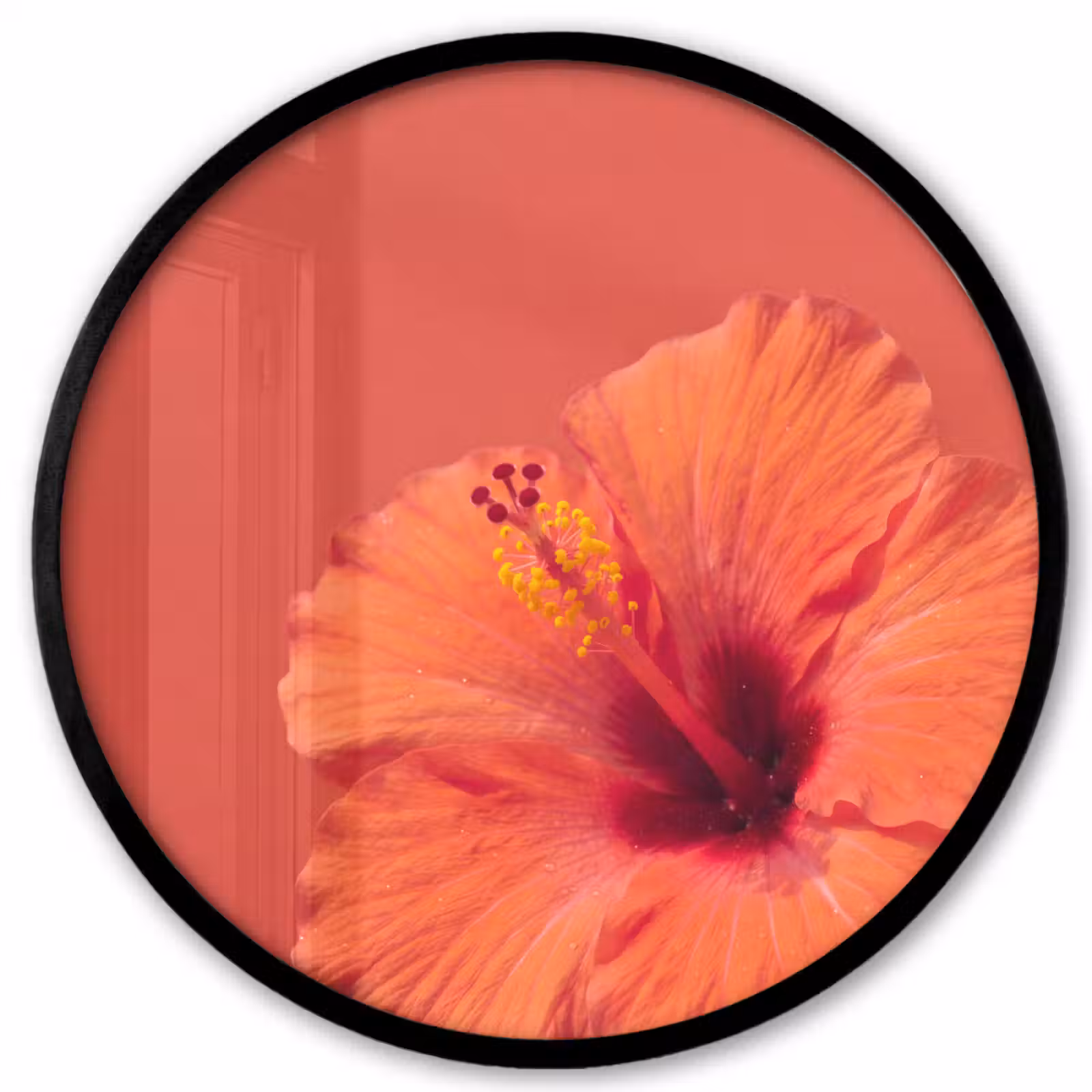 Ronde fotolijst - Bloemen - Oranje - Natuur — 1