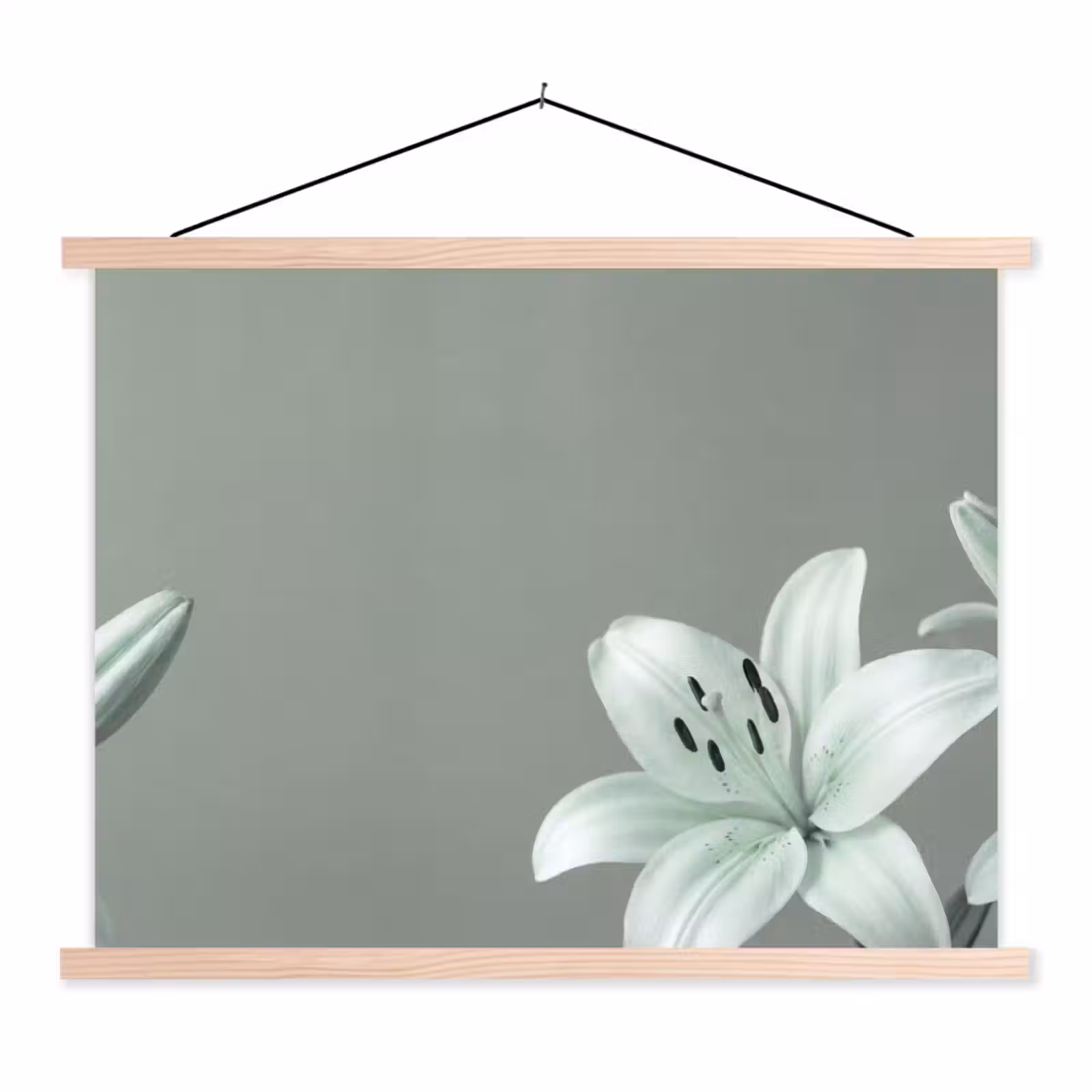 Schoolplaat - Bloemen - Natuur - Groen — 1