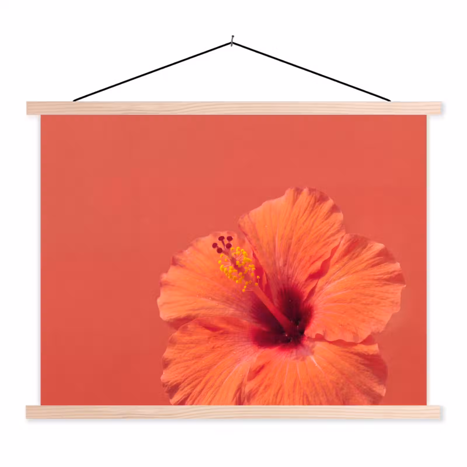 Schoolplaat - Bloemen - Oranje - Natuur — 1