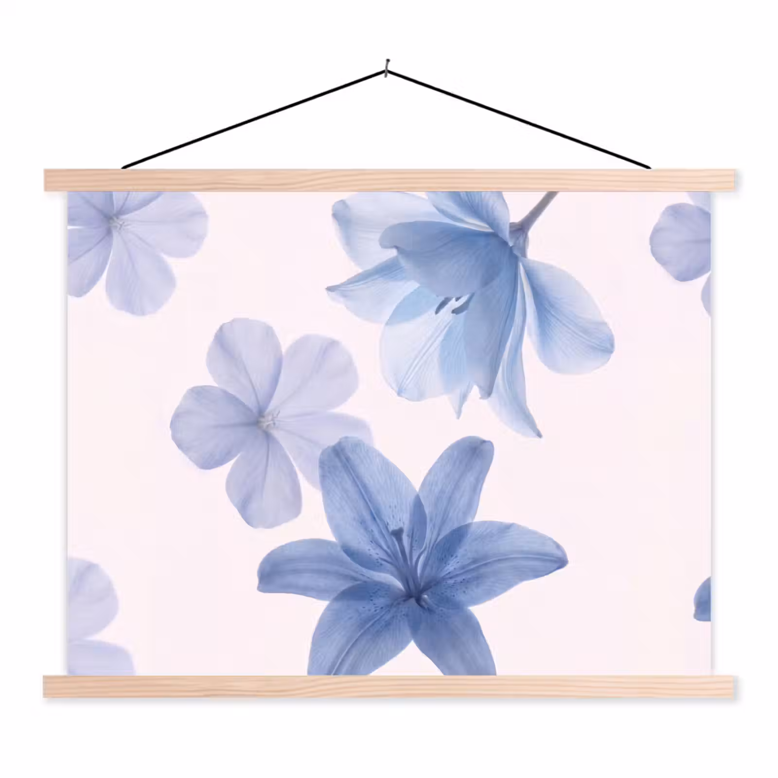 Schoolplaat - Bloemen - Transparant - Modern — 1