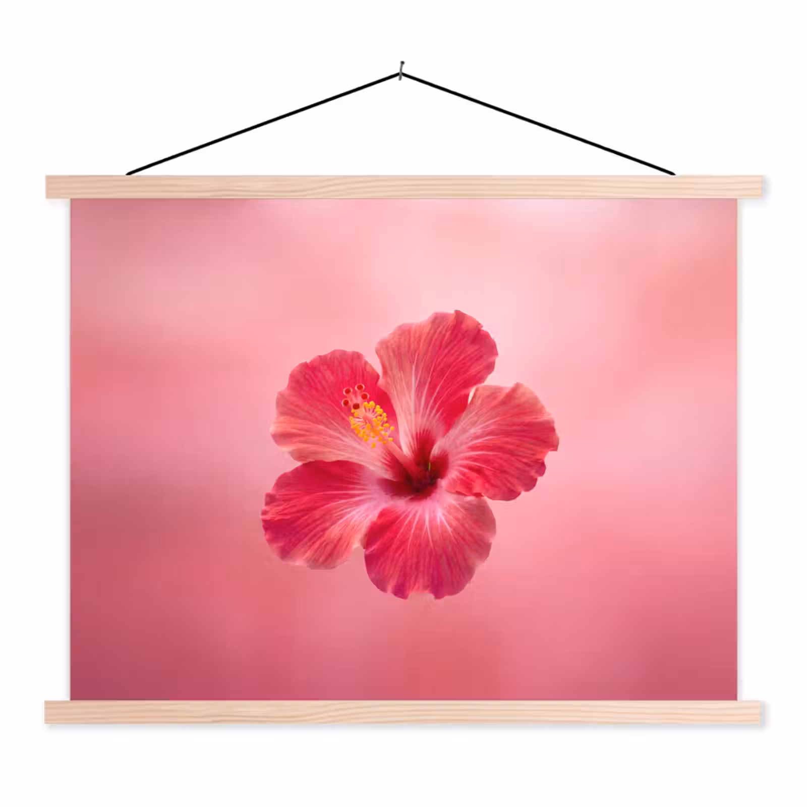 Schoolplaat - Rode bloem - Natuur — 1