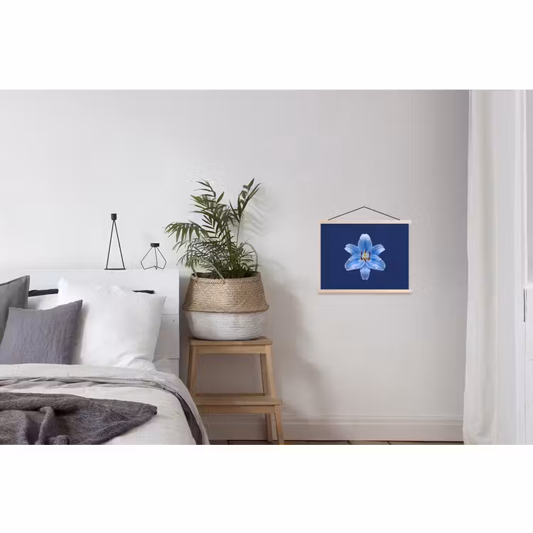 Schoolplaat - Blauwe lelie - Bloemen — 2
