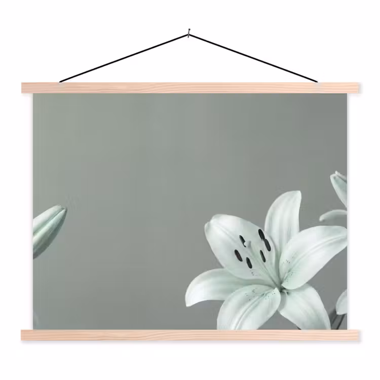 Schoolplaat - Bloemen - Natuur - Groen — 1