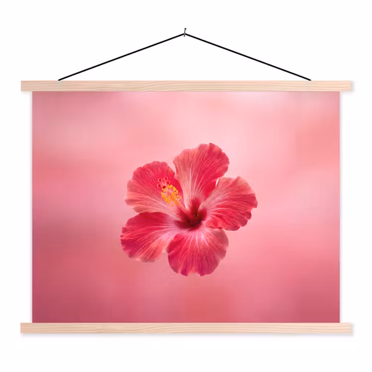 Schoolplaat - Rode bloem - Natuur — 1