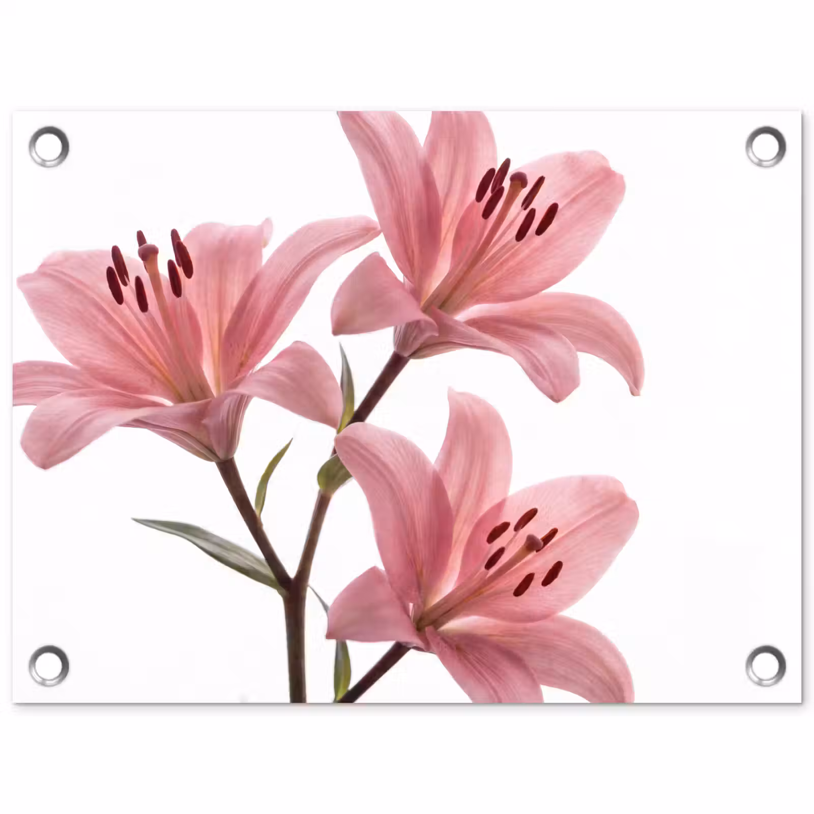Tuinposter - Bloemen - Zacht - Modern — 1
