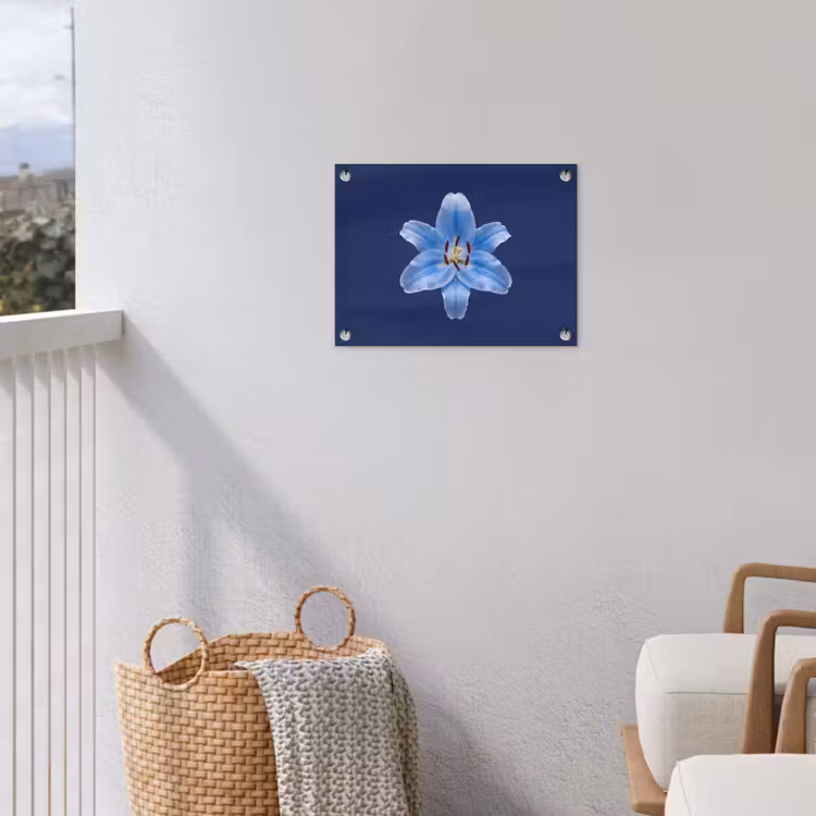 Tuinposter - Blauwe lelie - Bloemen — 3