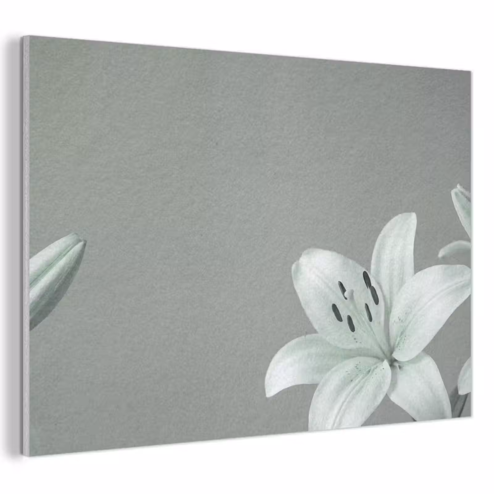 Akoestisch schilderij - Bloemen - Natuur - Groen — 1