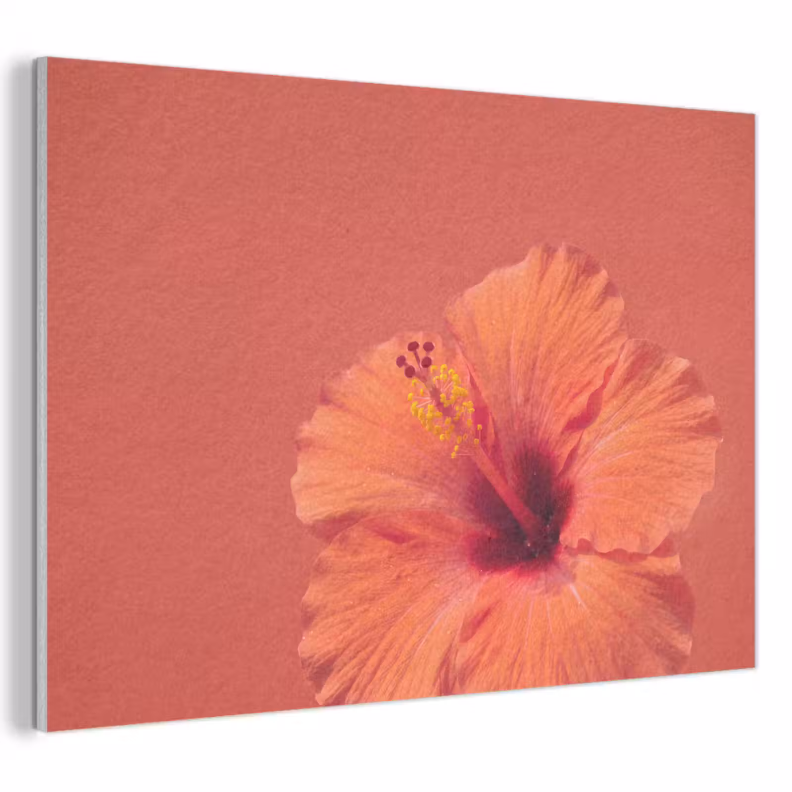 Akoestisch schilderij - Bloemen - Oranje - Natuur — 1