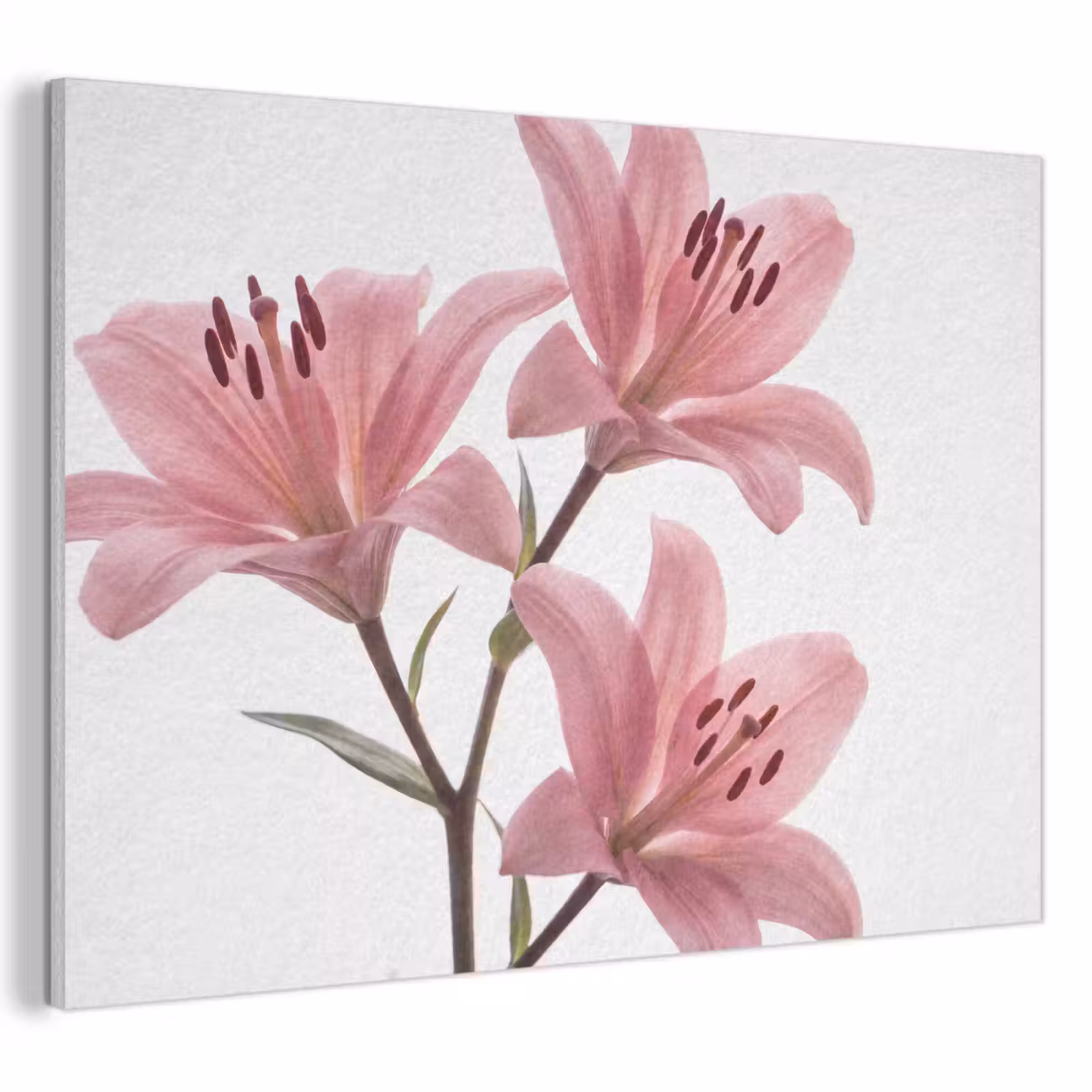 Akoestisch schilderij - Bloemen - Zacht - Modern — 1