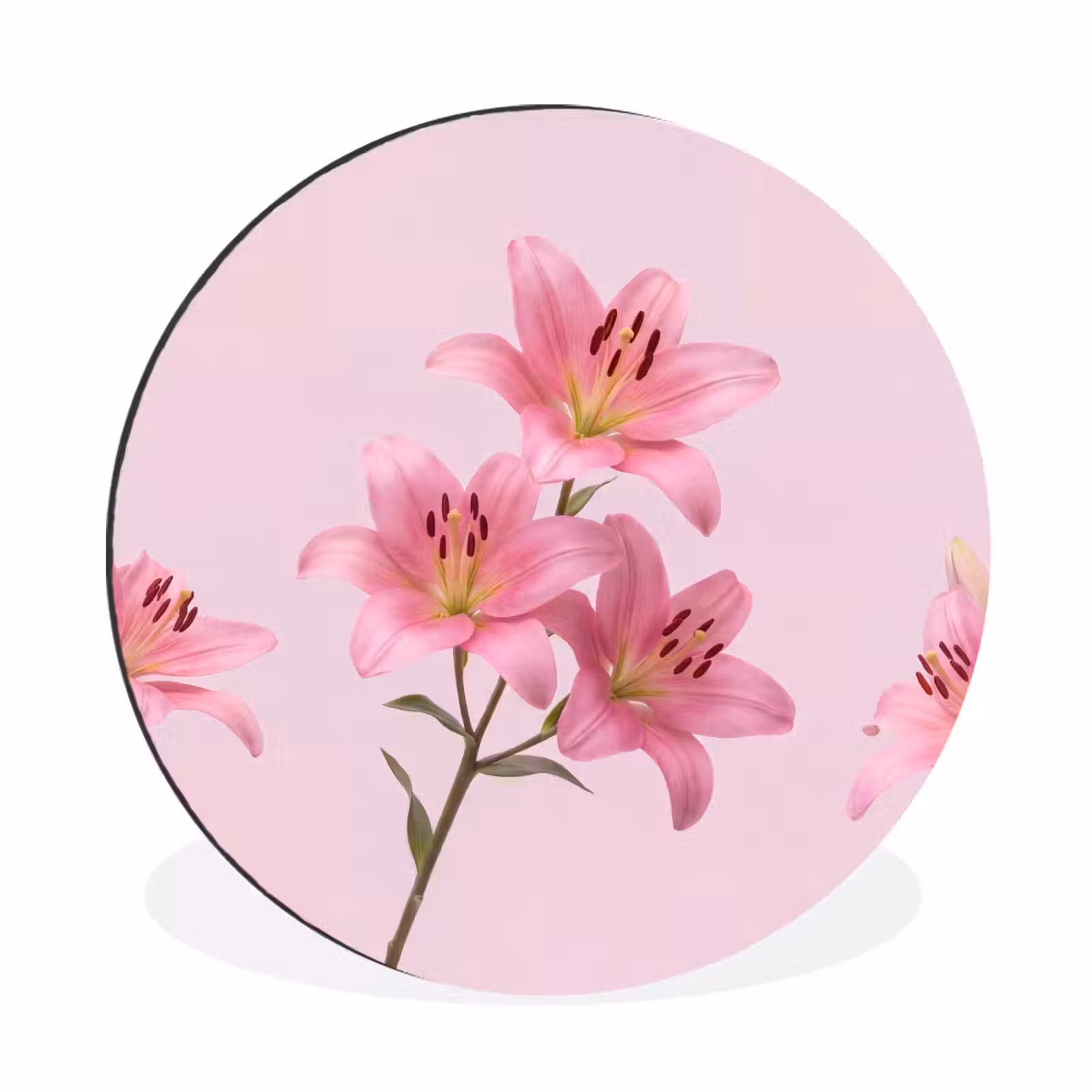 Muurcirkel aluminium - Bloemen - Zacht - Roze — 1
