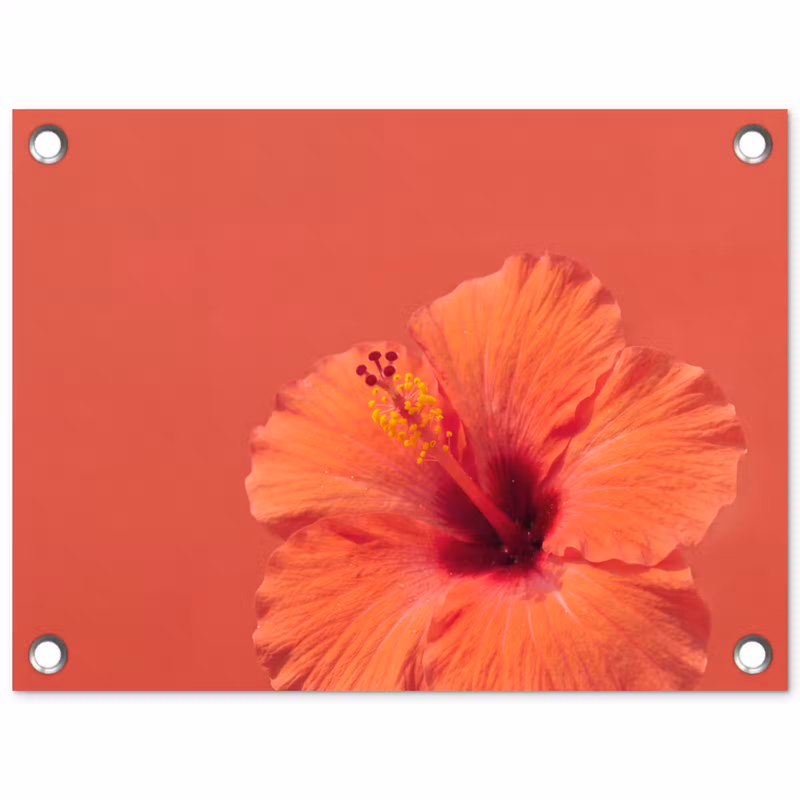 Tuinposter - Bloemen - Oranje - Natuur — 1