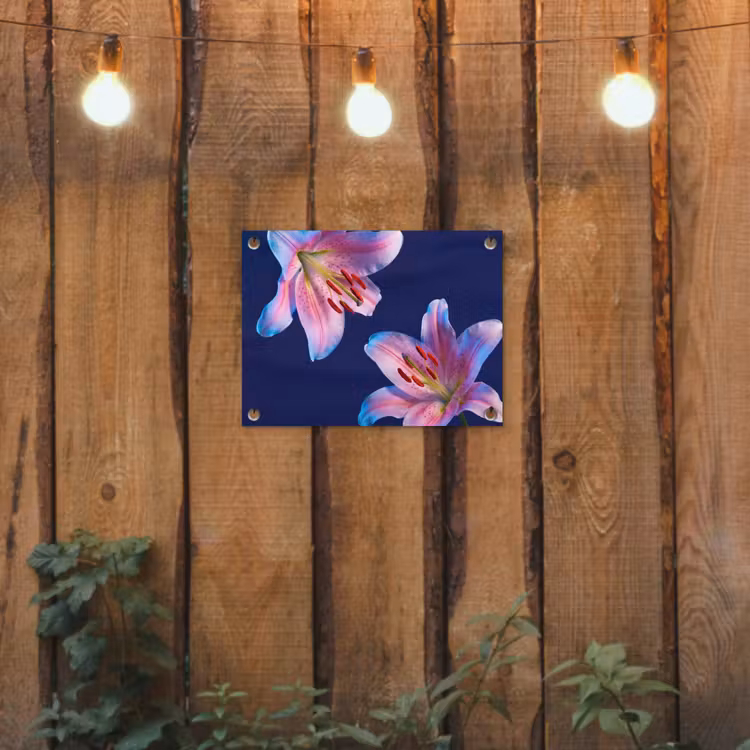 Tuinposter - Bloemen - Kleurrijk - Botanisch — 2