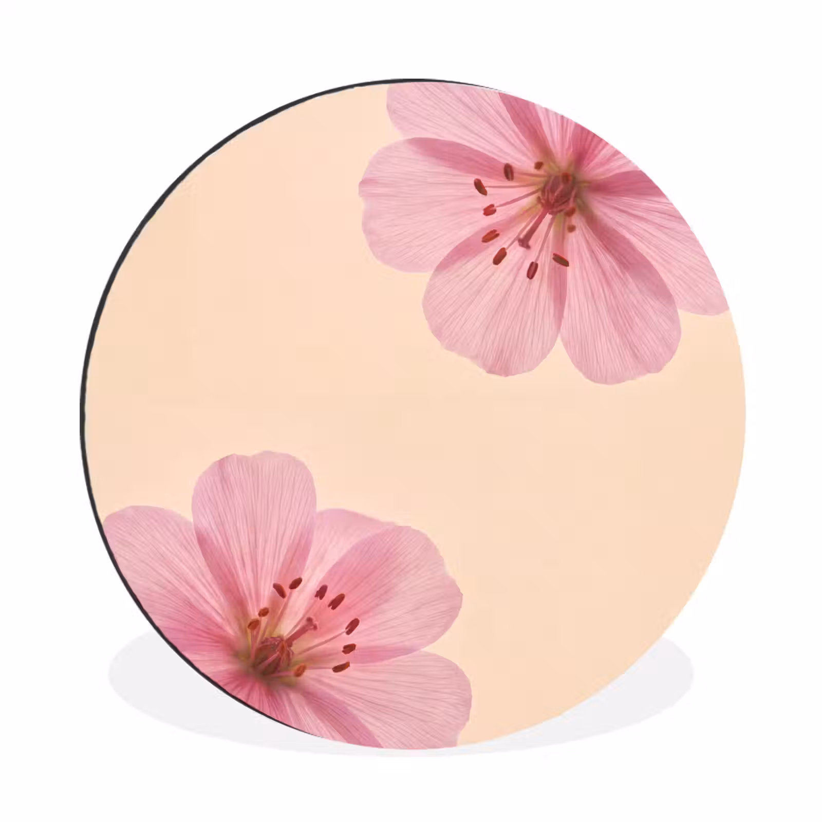 Muurcirkel aluminium - Bloemen - Flora - Pastel — 1