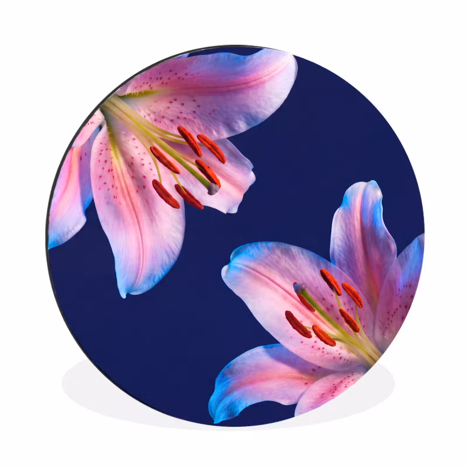 Muurcirkel aluminium - Bloemen - Kleurrijk - Botanisch — 1