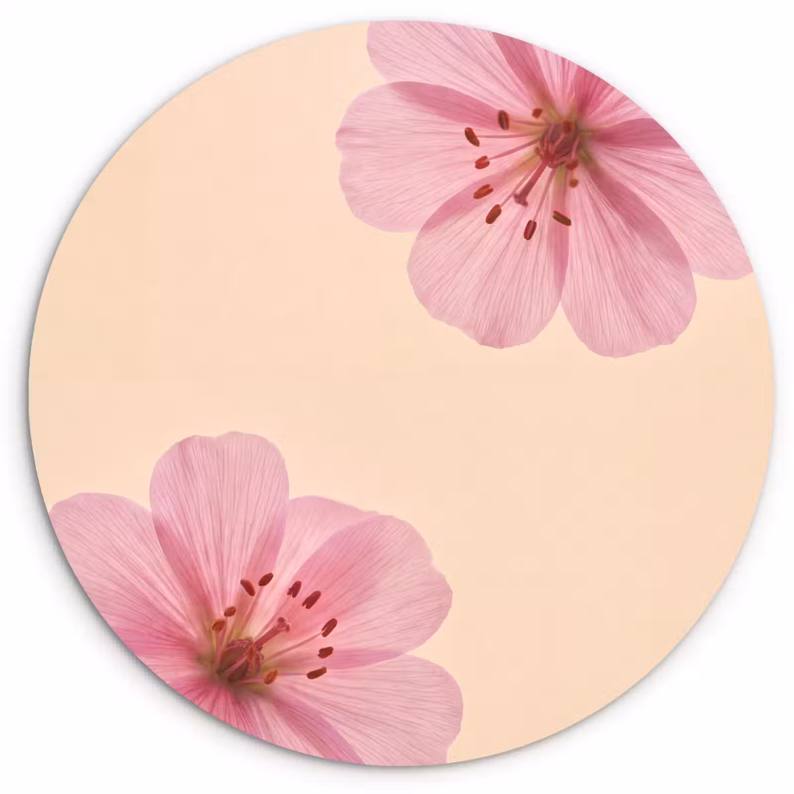 Muurcirkel glas - Bloemen - Flora - Pastel — 1