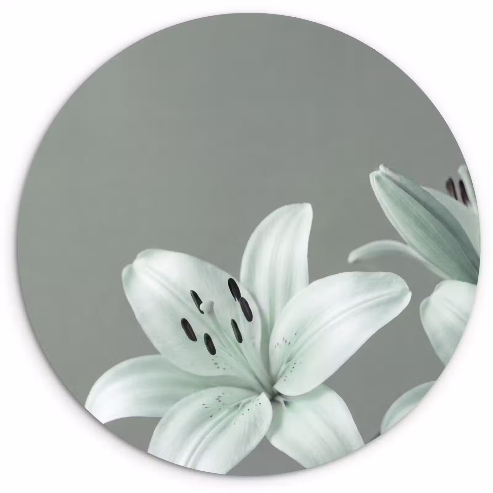 Muurcirkel glas - Bloemen - Natuur - Groen — 1
